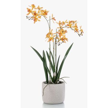Konstgjord orkidé Renanthera BLANI i keramikkruka, rötter, gul-cerise, 55cm Konstgjord orkidé Renanthera BLANI i keramikkruka, rötter, gul-cerise, 55cm