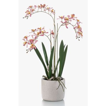 Konstgjord orkidé Renanthera BLANI i keramikkruka, rötter, vit-cerise-gul, 55cm Konstgjord orkidé Renanthera BLANI i keramikkruka, rötter, vit-cerise-gul, 55cm