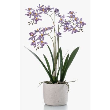 Konstgjord orkidé Renanthera BLANI i keramikkruka, rötter, violett-vit-gul, 55cm Konstgjord orkidé Renanthera BLANI i keramikkruka, rötter, violett-vit-gul, 55cm