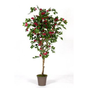 Konstgjord bougainvillea ISMUNDE, äkta stam, blommor, cerise, 210cm - Tillverkad i Italien