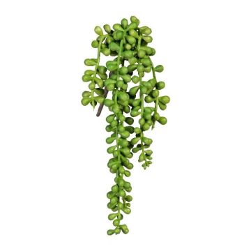 Konstgjord suckulent ärtväxt FERTIN, stickpinne, grön, 35cm Konstgjord suckulent ärtväxt FERTIN, stickpinne, grön, 35cm