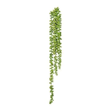 Konstgjord suckulent ärtväxt FERTIN, stickpinne, grön, 70cm Konstgjord suckulent ärtväxt FERTIN, stickpinne, grön, 70cm