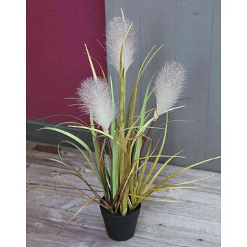 Pampasgräs NICOLAS i plast med blomspikar, grönbrunt, 50cm