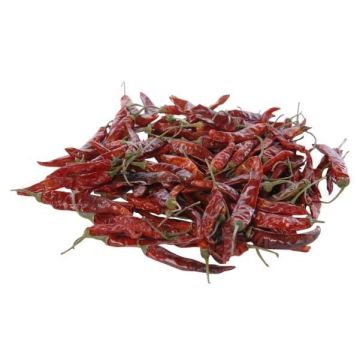 Torkade korta chilifrukter RÜDIGER, röda, 4-8cm, 250g