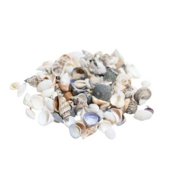 Musselmix NERINO, natur, 500g Musselmix NERINO, natur, 500g