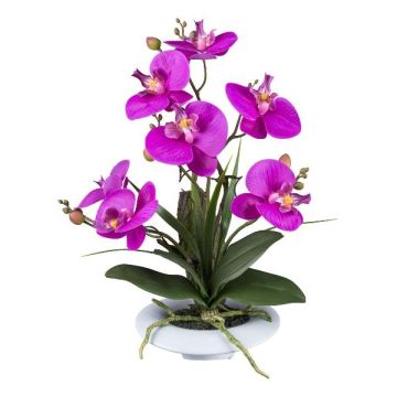 Konstblomsarrangemang med Phalaenopsis-orkidé HIKABU med korkskruvssträck, keramikkruka, rötter, lila, 40cm