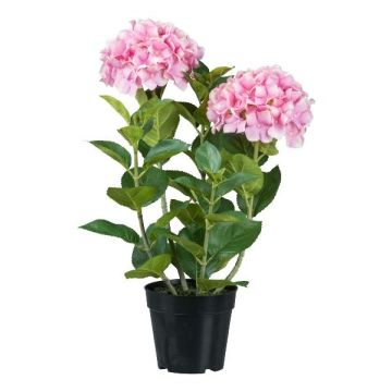 Dekorationsblomma hortensia BINEFA, rosa, 60cm Dekorationsblomma hortensia BINEFA, rosa, 60cm