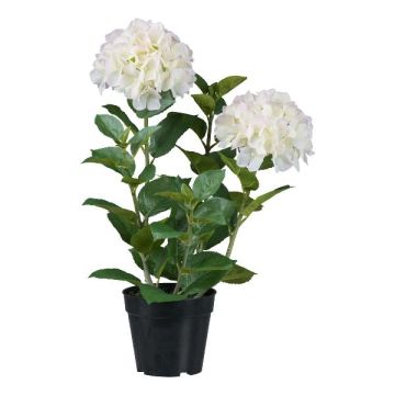 Dekorationsblomma hortensia BINEFA, vit, 60cm Dekorationsblomma hortensia BINEFA, vit, 60cm
