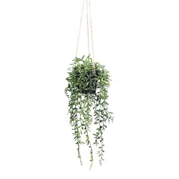 Konstgjord suckulent Senecio hängande blomkruka GRISTY i dekorativ kruka, hängande, grön, 55cm