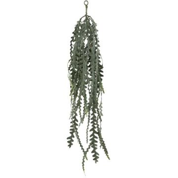 Konstgjord bladkaktus, hängande LENTY, grågrön, 100cm Konstgjord bladkaktus, hängande LENTY, grågrön, 100cm