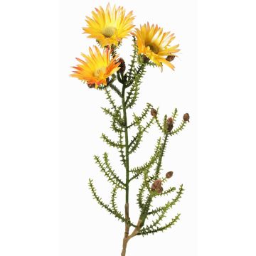 Konstgjord Kap-stråblomma BEYA, gul-ljusorange, 60cm, Ø6cm Konstgjord Kap-stråblomma BEYA, gul-ljusorange, 60cm, Ø6cm