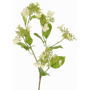 Konstgjord hortensia-gren KATHANI, vit-grön, 80cm, Ø10-13cm Konstgjord hortensia-gren KATHANI, vit-grön, 80cm, Ø10-13cm