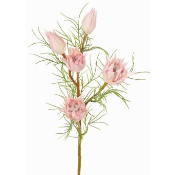 Dekorativ proteagren NOHEA, rosa-vit, 60cm, Ø3-6cm Dekorativ proteagren NOHEA, rosa-vit, 60cm, Ø3-6cm