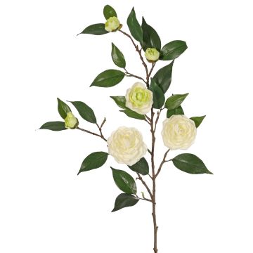 Konstgjord kameliagren YARINA med blommor, krämgrön, 75cm Konstgjord kameliagren YARINA med blommor, krämgrön, 75cm