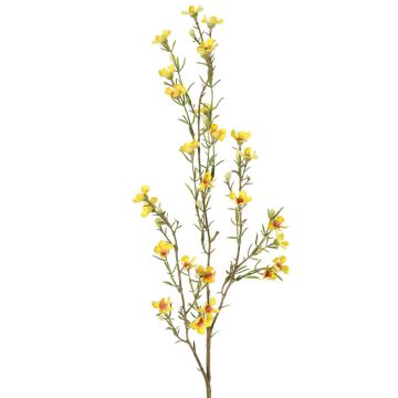Konstgjord vaxblomma NIANG, gul, 80cm, Ø1,5-2,5cm Konstgjord vaxblomma NIANG, gul, 80cm, Ø1,5-2,5cm
