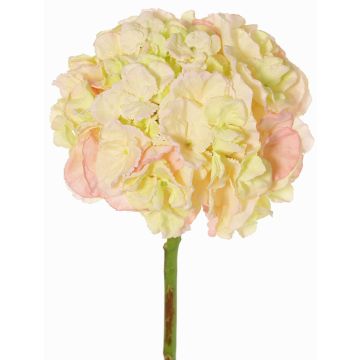 Konstgjord hortensia LIRLAFY, grön-rosa, 65cm, Ø20cm Konstgjord hortensia LIRLAFY, grön-rosa, 65cm, Ø20cm