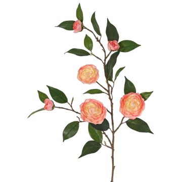 Konstgjord kameliagren YARINA med blommor, rosa-krämfärgad, 75cm Konstgjord kameliagren YARINA med blommor, rosa-krämfärgad, 75cm