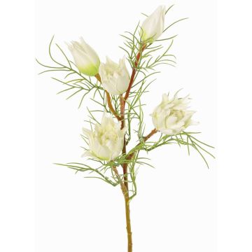 Dekorativ protea-gren NOHEA, vit, 60cm, Ø3-6cm Dekorativ protea-gren NOHEA, vit, 60cm, Ø3-6cm