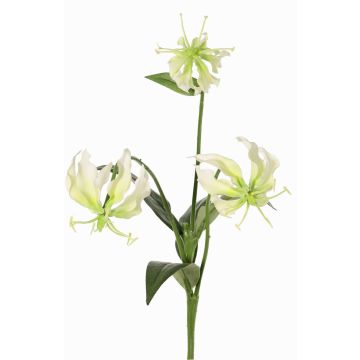 Dekorationsblomma Gloriosa XELA, vit-grön, 50cm, Ø4-7cm Dekorationsblomma Gloriosa XELA, vit-grön, 50cm, Ø4-7cm