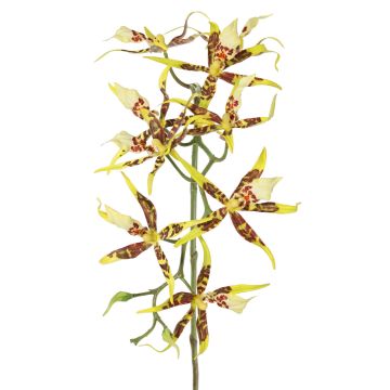 Konstgjord Brassia-orkidé ORELA, gul-röd, 90cm Konstgjord Brassia-orkidé ORELA, gul-röd, 90cm