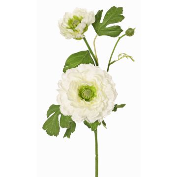 Konstgjord ranunkelgren SAGARA, vit-grön, 45cm, Ø5-9cm Konstgjord ranunkelgren SAGARA, vit-grön, 45cm, Ø5-9cm
