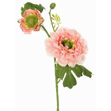 Konstgjord ranunkelkvist SAGARA, rosa-grön, 45cm, Ø5-9cm
