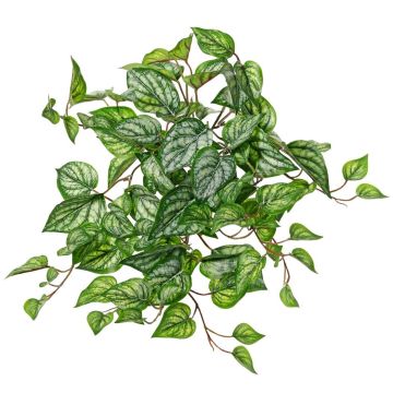 Konstgjord hängande växt med fläckig murgröna KEVINA på stickpinne, Eco Collection, grön-vit, 55cm
