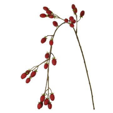 Dekorativ kvist med björnbär URUMA med frukter, röd, 100cm Dekorativ kvist med björnbär URUMA med frukter, röd, 100cm
