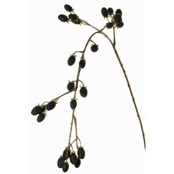 Dekorativ kvist med björnbär URUMA med frukter, svart, 100cm Dekorativ kvist med björnbär URUMA med frukter, svart, 100cm