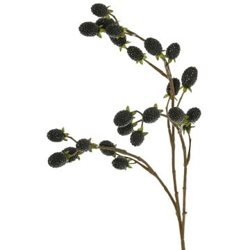 Dekorativ kvist med björnbär URUMA med frukter, svart, 90cm Dekorativ kvist med björnbär URUMA med frukter, svart, 90cm