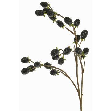 Dekorativ kvist med björnbär URUMA med frukter, svart, 90cm Dekorativ kvist med björnbär URUMA med frukter, svart, 90cm