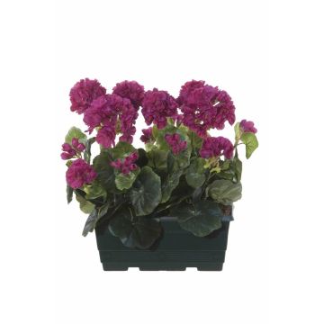 Konstgjorda pelargoner FLOREANA i blomlåda, 2 st, vinröd, 24x11x35cm