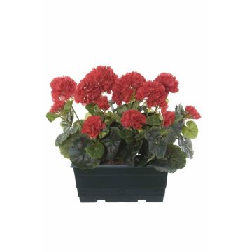 Konstgjorda pelargoner FLOREANA i blomlåda, 2 st, röda, 24x11x35cm