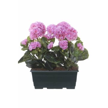 Konstgjorda pelargoner FLOREANA i blomlåda, 2 st, lila, 24x11x35cm Konstgjorda pelargoner FLOREANA i blomlåda, 2 st, lila, 24x11x35cm