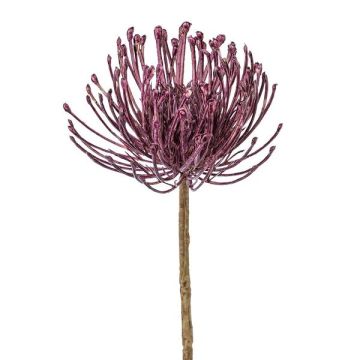 Konstblomma nålkudde Protea ZIRMO, lila, 50cm Konstblomma nålkudde Protea ZIRMO, lila, 50cm