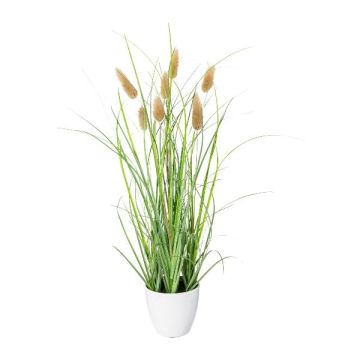 Dekogräs kaninsvansgräs BIRVO i melamin-kruka, ax, beige, 40cm Dekogräs kaninsvansgräs BIRVO i melamin-kruka, ax, beige, 40cm
