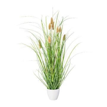 Dekorgräs Kaninsvansgräs BIRVO i melamin-kruka, tofsar, beige, 50cm Dekorgräs Kaninsvansgräs BIRVO i melamin-kruka, tofsar, beige, 50cm