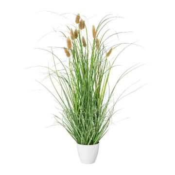 Dekogräs Kanin svansgräs BIRVO i melamin-kruka, ris, beige, 60cm Dekogräs Kanin svansgräs BIRVO i melamin-kruka, ris, beige, 60cm