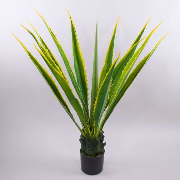 Konstgjord Agave furcraea gigantea CHERIE, grön-gul, 110cm Konstgjord Agave furcraea gigantea CHERIE, grön-gul, 110cm