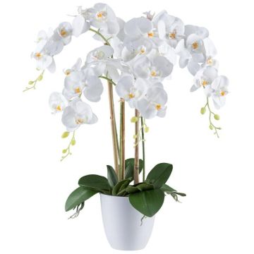 Dekorationsblomma Phalaenopsis-orkidé BLENTOR i melamin-kruka, rötter, vit, 60cm