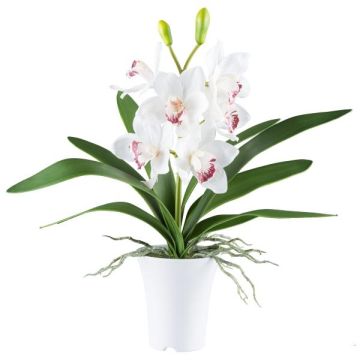 Textil-Cymbidium-orkidé BLORKE i melamin-ytterkruka, rötter, vit-rosa, 55cm