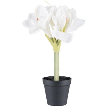Dekorationsblomma Amaryllis PRIFT i dekorativ kruka, vit, 30cm Dekorationsblomma Amaryllis PRIFT i dekorativ kruka, vit, 30cm