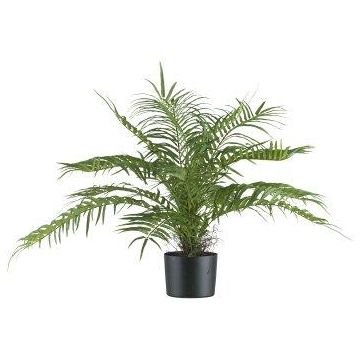 Konstpalm Areca KARANNE, svårantändlig, 70cm Konstpalm Areca KARANNE, svårantändlig, 70cm