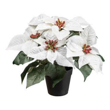 Konstblomma julstjärna FRIZO i dekorativ kruka, vit, 26cm Konstblomma julstjärna FRIZO i dekorativ kruka, vit, 26cm