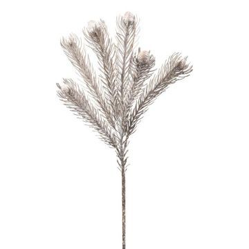Dekorativ kvist nålkudde Protea ZANLI, frusen, grå, 50cm Dekorativ kvist nålkudde Protea ZANLI, frusen, grå, 50cm