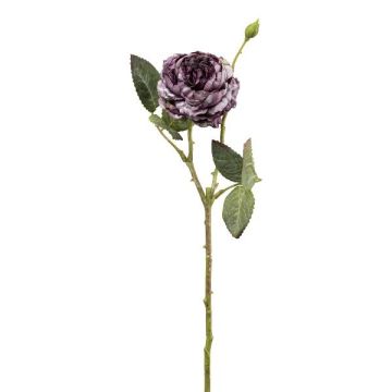 Konstblomma kålros VOMTE, torkad look, lila, 45cm, Ø7cm