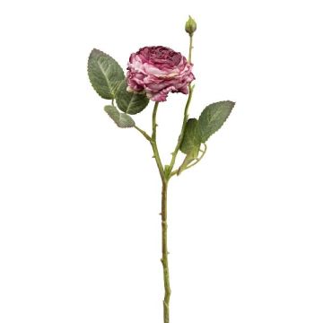 Konstblomma kålros VOMTE, torkad look, mauve, 45cm, Ø7cm
