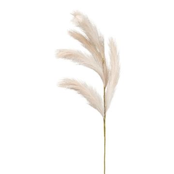 Konstgjord sandrörsris ALFIN, beige, 80cm