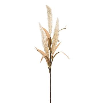 Dekorativ kvist av borsthirse KENFIR med risper, krämfärgad, 70cm