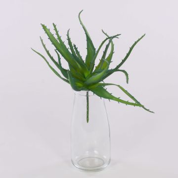 Plastaloe vera WHITNEY, med stödpinne, mörkgrön, 18cm